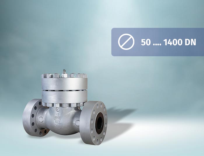 Swing Check Valve
