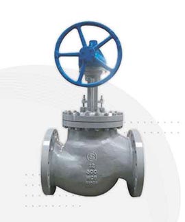 Globe Valve