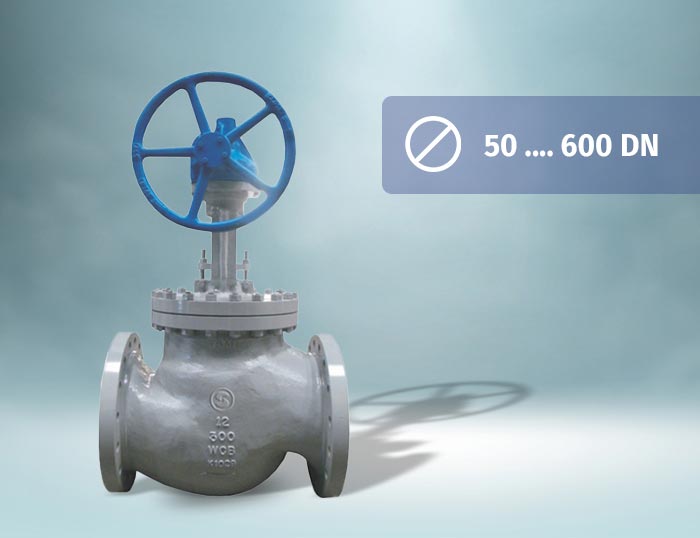 Globe Valve Product